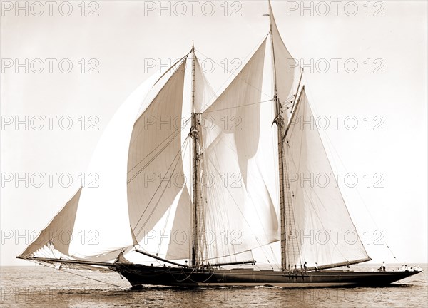 Constellation, Constellation (Schooner), Commodore Gerry Cup race, Regattas, Yachts, 1892