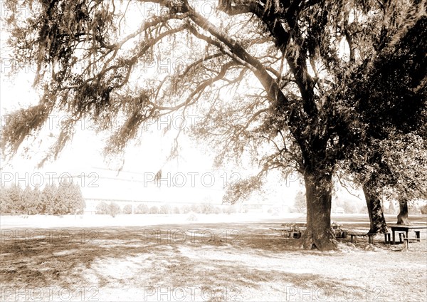 Horticultural hall, Audubon Park, New Orleans, Parks, Horticultural buildings, United States, Louisiana, New Orleans, 1890