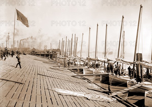 Oyster luggers at the levee, New Orleans, Boats, Levees, Shellfish industry, Oysters, United States, Louisiana, New Orleans, 1901