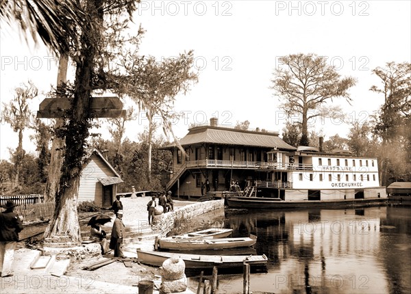 The Okeehumkee at wharf, Silver Springs, Fla, Okeehumkee (Steamboat), Steamboats, Piers & wharves, United States, Florida, Silver Springs, 1900