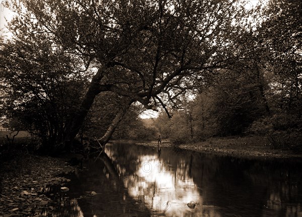 Fishing on the Genegantslet, Smithville Flats, N.Y, Rivers, Fishing, United States, New York (State), Smithville Flats, United States, New York (State), Genegantslet Creek, 1900