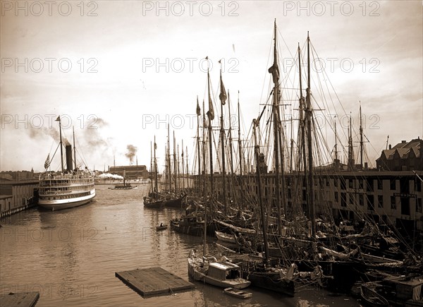 Schooners at &quot;T&quot; wharf, Boston, Mass, Piers & wharves, Boats, Steamboats, United States, Massachusetts, Boston, 1905