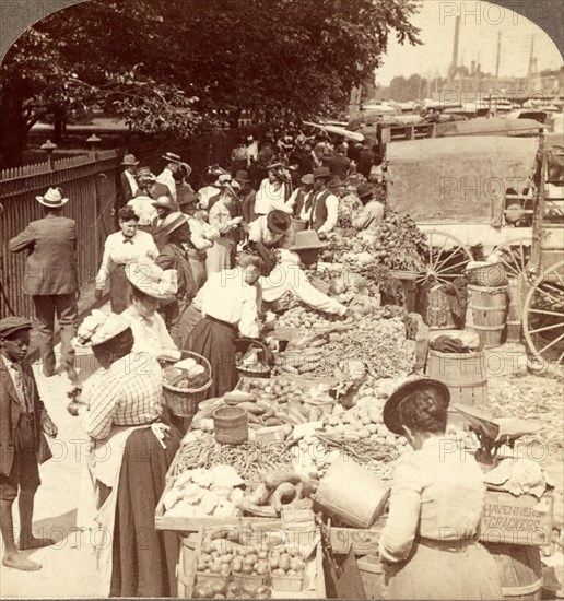 Fruits of the sunny south and their buyers, in famous old Centre Market [i.e. Center Market], Washington, US, USA, America, Vintage photography