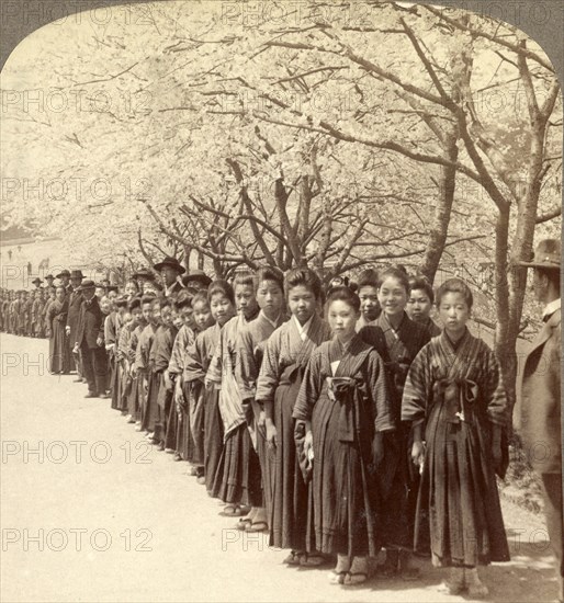Holiday outing of a Japanese school, under the beautiful cherry blossoms, Tokyo, Japan, Vintage photography