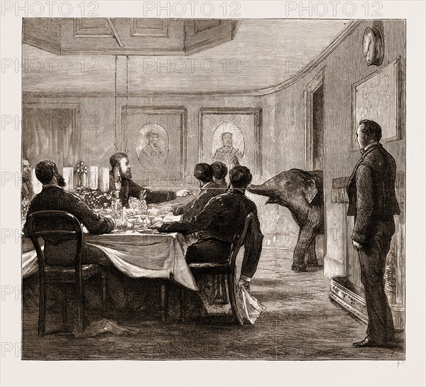 A BIG BABY COMING IN TO DESSERT, ON BOARD THE "OSBORNE", 1876