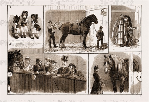 THE CART-HORSE SHOW AT THE AGRICULTURAL HALL, 1883: 1. "Fillies Under Four Years Old." 2. The Last Straw. 3. The Harness of Goliath. 4. Criticism. 5. A Lady's Pet.