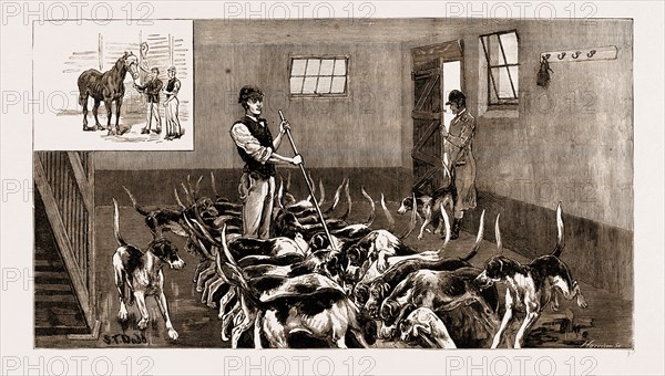 FOXHOUNDS AT HOME: FEEDING TIME, 1883