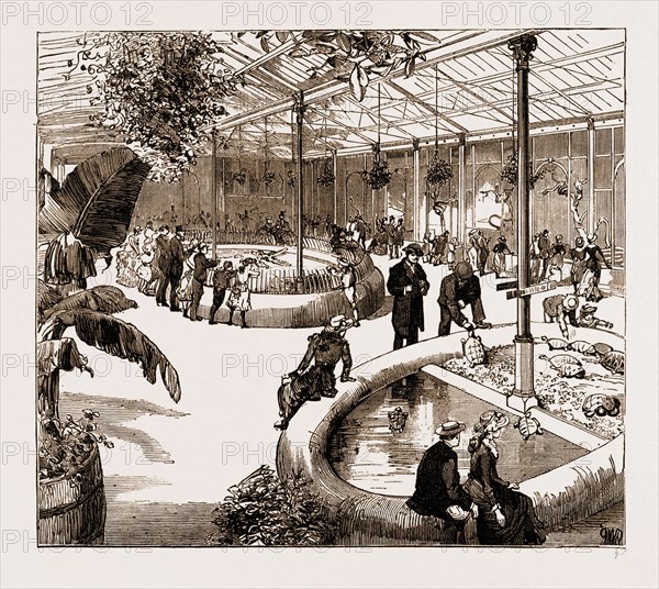 THE NEW REPTILE HOUSE AT THE ZOOLOGICAL GARDENS, UK, 1883