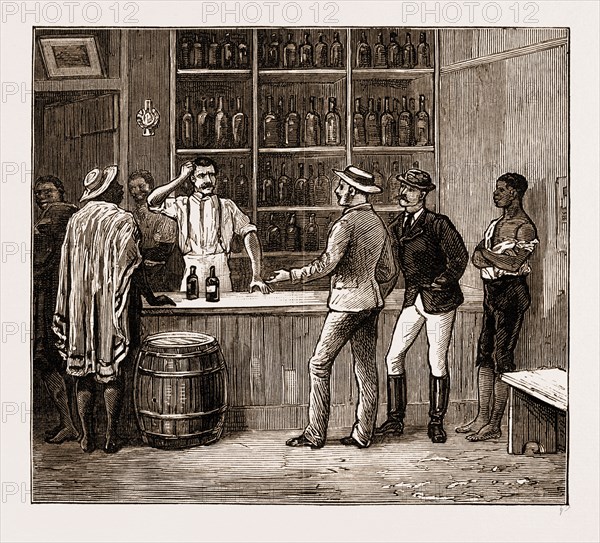 ILLICIT DIAMOND BUYING AT THE CAPE, SOUTH AFRICA, 1883: TRAPPED