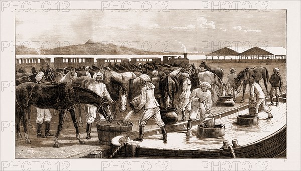 THE REBELLION IN THE SUDAN, WITH BAKER PASHA'S REINFORCEMENTS, 1883: ARRIVAL OF THE GENDARMERIE AT SUEZ, WATERING HORSES