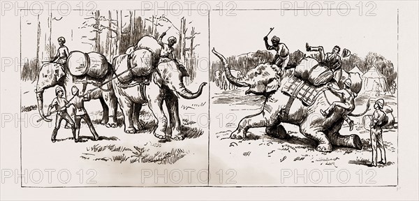THE EXPEDITION TO UPPER BURMA, WITH THE TONGHOO FIELD FORCE, 1886: TRANSPORT DIFFICULTIES AGAIN, TRYING TO LOAD; TRANSPORT DIFFICULTIES, AN ELEPHANT DISPOSING OF ITS LOAD