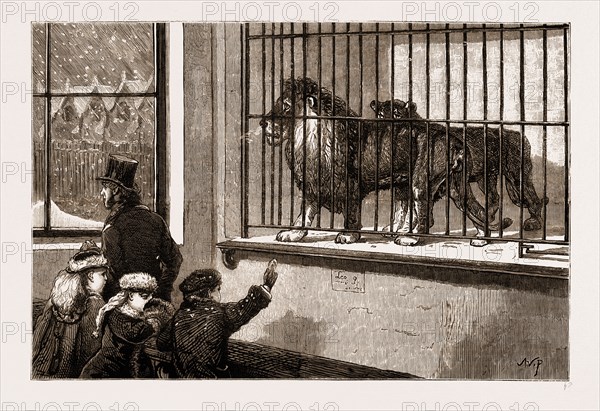 "STRANGERS IN A STRANGE LAND": A WINTER DAY AT THE "ZOO", 1881