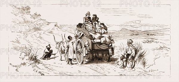 THE REVOLT IN THE TRANSVAAL, SOUTH AFRICA, 1881: BRITISH REFUGEES