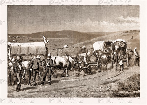 THE REVOLT IN THE TRANSVAAL, SOUTH AFRICA, 1881: SURVIVORS OF BRONKER'S SPRUIT RETURNING TO THE BRITISH LINES
