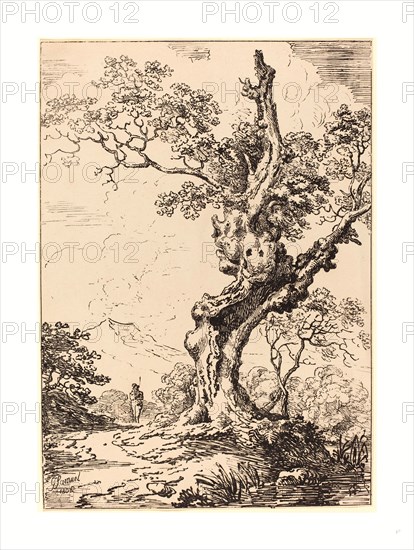 George Samuel (British, active c. 1784  probably 1824 ), Study of an Old Oak Tree, Water on Right, a Man on Left, 1806, pen-and-tusche lithograph