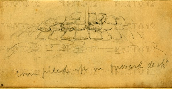 Corn piled up on forward deck, 1860-1865, drawing, 1862-1865, by Alfred R Waud, 1828-1891, an american artist famous for his American Civil War sketches, America, US