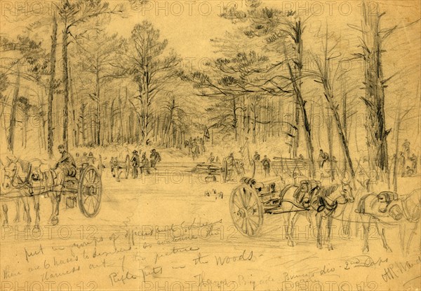 Rifle pits in the woods, 1863 July 1-3, drawing on tan paper pencil and Chinese white, 7.8 x 24.9 cm. (sheet), 1862-1865, by Alfred R Waud, 1828-1891, an american artist famous for his American Civil War sketches, America, US