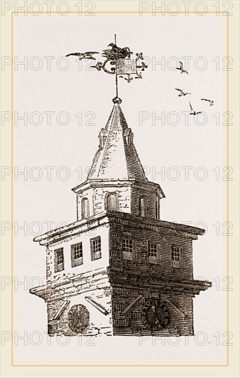 Rookery on Newcastle Exchange Spire UK