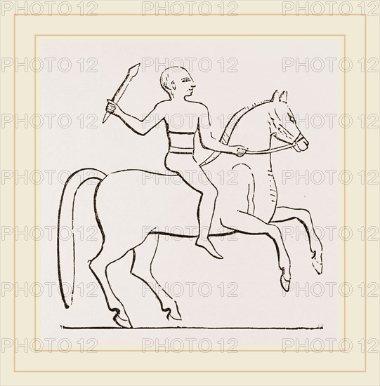 Egyptian Horseman