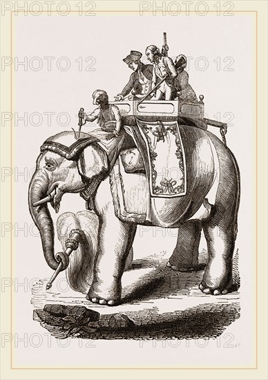 Warren Hastings' Elephant