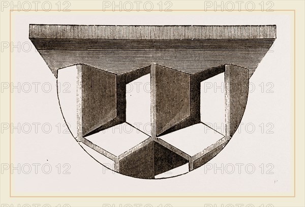 Cells of Honey-comb