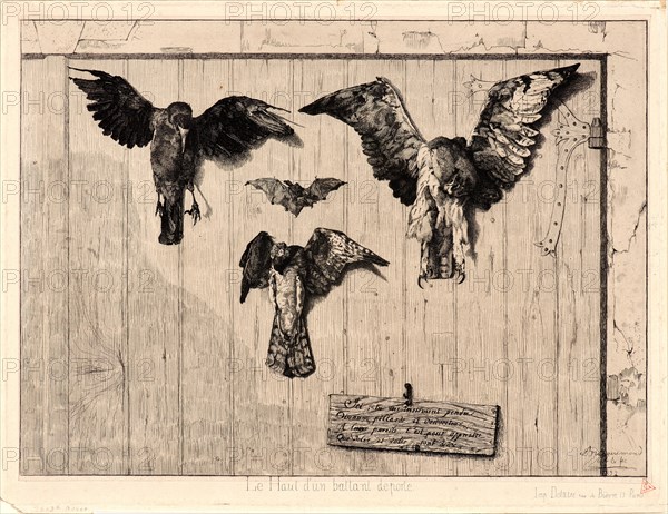 Félix Bracquemond (French, 1833 - 1914). Birds Nailed to a Barn Door (Le Haut d'un Battant de Porte), 1852. Etching. Fourth state.