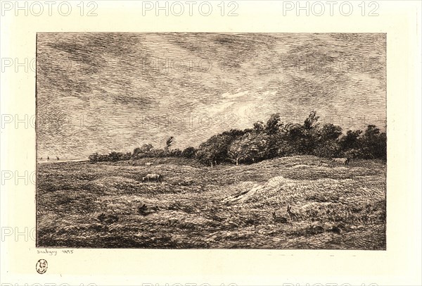 Charles FranÃ§ois Daubigny (French, 1817 - 1878). Le Pré des Graves Ã  Villerville (Calvados), 1875. Etching on laid paper. Plate: 163 mm x 242 mm (6.42 in. x 9.53 in.). Second of three states.