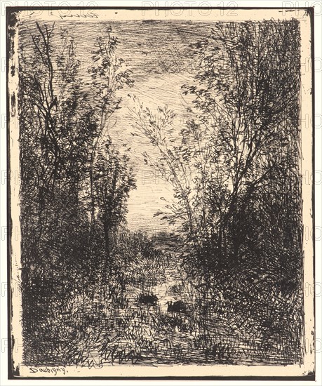 Charles FranÃ§ois Daubigny (French, 1817 - 1878). Le Ruisseau dans la ClairiÃ¨re, 1862. From Quarante Clichés-Glace. Cliché-verre.