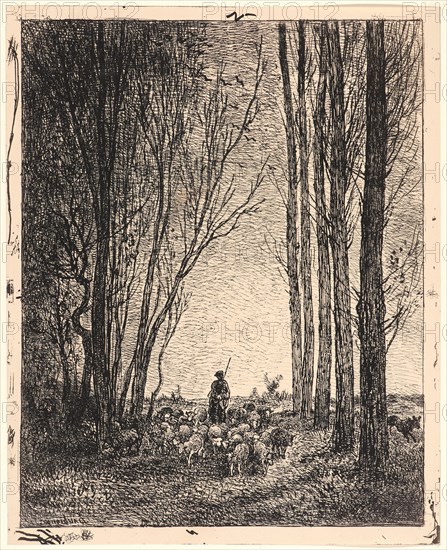 Charles FranÃ§ois Daubigny (French, 1817 - 1878). La Rentrée du Troupeau, 1862. From Quarante Clichés-Glace. Cliché-verre.