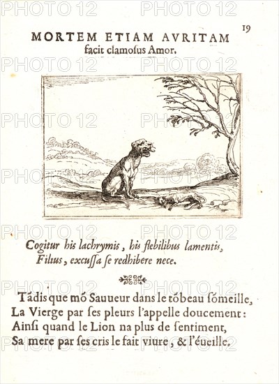 Jacques Callot (French, 1592 - 1635). La Lionne Appelant son Lionceau, 17th century. From The Life of the Virgin in Emblems (La Vie de la MÃ¨re de Dieu représentée par des. Etching. First of two states.