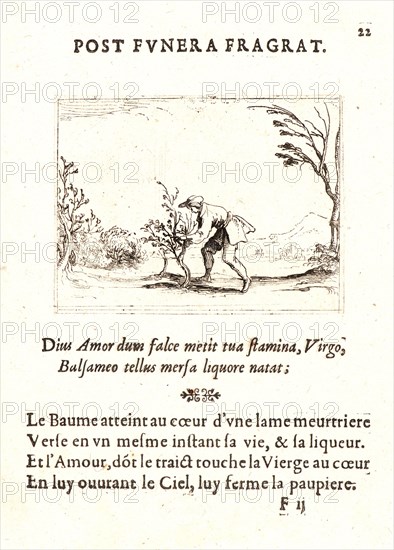 Jacques Callot (French, 1592 - 1635). Homme Coupant Baumier, 17th century. From The Life of the Virgin in Emblems (La Vie de la MÃ¨re de Dieu représentée par des. Etching. First of two states.