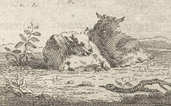 Two reclining sheep, Jan Matthias Cok, Jan van der Meer (II), 1735 - 1771