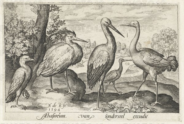 Stork, crane, heron and spoonbill, Nicolaes de Bruyn, 1594