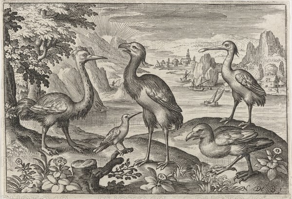 Crowned Crane between two ostriches, Nicolaes de Bruyn, 1594