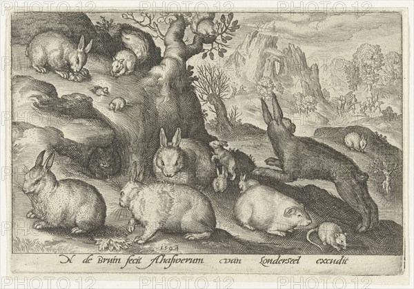 rabbits, squirrel, guinea pig and mouse, Nicolaes de Bruyn, 1594