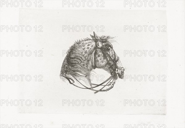 Horse Head, Joannes Bemme, Dirk Langendijk, c. 1800 - in or before 1841