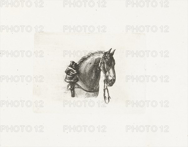 Horse head, right, Joannes Bemme, Dirk Langendijk, c. 1800 - in or before 1841