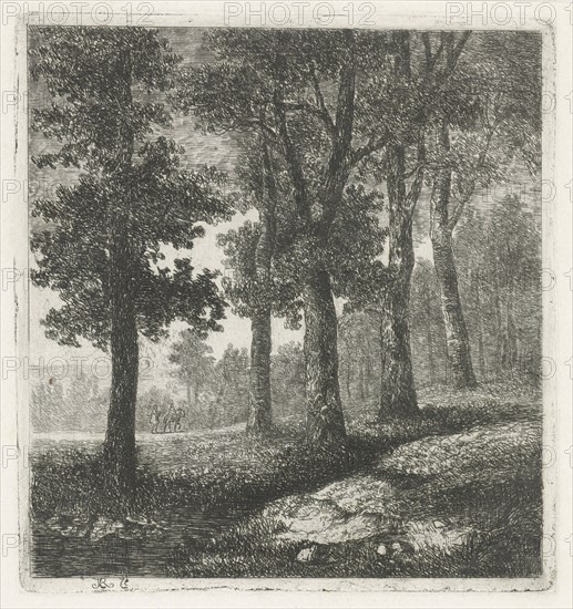 View of a forest, Hermanus Jan Hendrik van Rijkelijkhuysen, 1823 - 1883