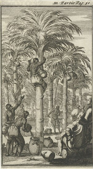 Obtaining palm wine in India, Jan Luyken, Charles Angot, 1689