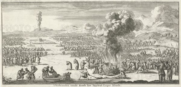 sacrifice of the red heifer, Jan Luyken, Willem Goeree, 1683