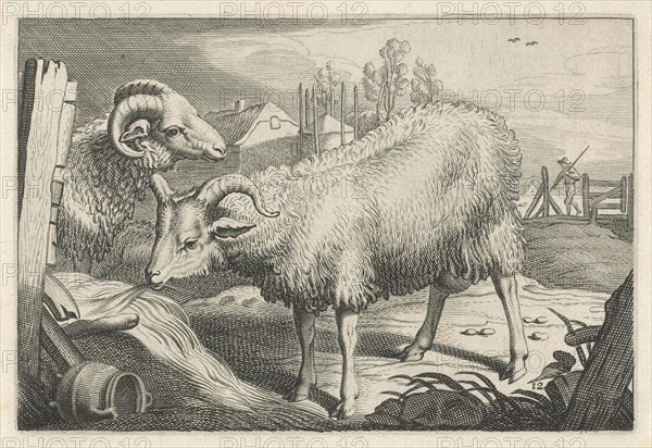 Pasture with a sheep and a ram, Reinier van Persijn, Jacob Gerritsz Cuyp, Nicolaes Visscher (I), 1641