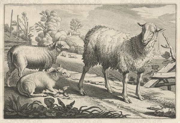 Pasture with a sheep and two lambs, Reinier van Persijn, Jacob Gerritsz Cuyp, Nicolaes Visscher (I), 1641