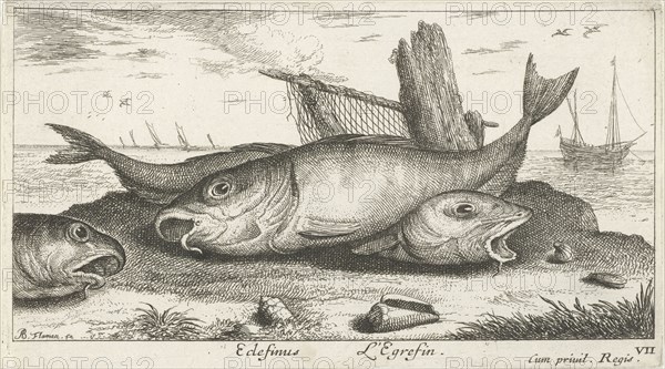 Three haddock on the beach, Albert Flamen, Jacques van Merlen, Lodewijk XIV (koning van Frankrijk), 1664