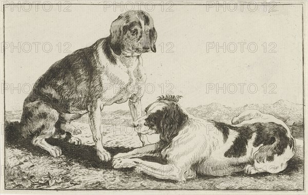 Two resting dogs, Jan van den Hecke (I), 1656