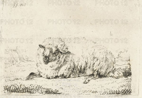 Lying sheep with thick fur, Frédéric Théodore Faber, 1805