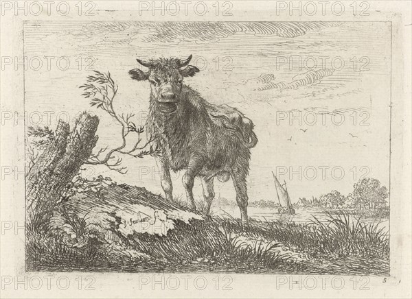 Taurus on the riverbank, Johannes Janson, 1761-1784