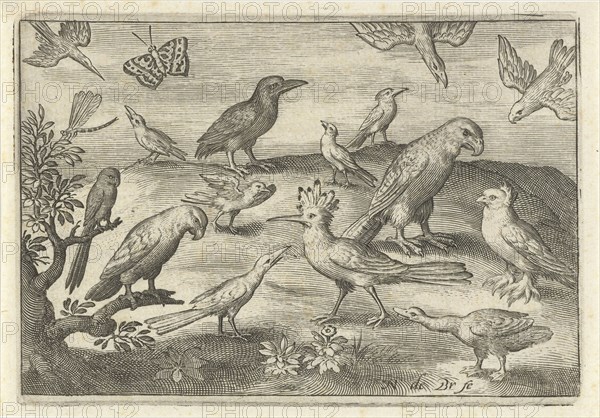 Hop and other birds, Nicolaes de Bruyn, 1594