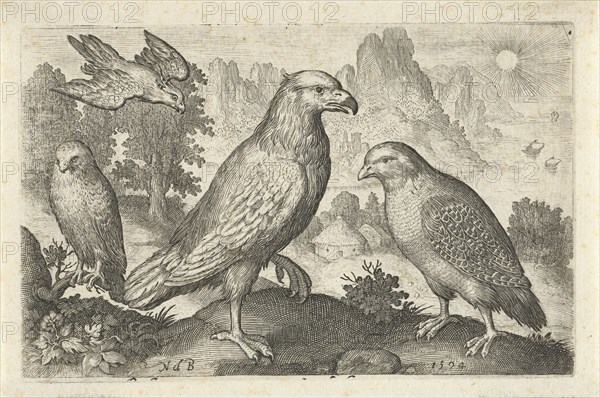 Eagle and other birds of prey, Nicolaes de Bruyn, 1594