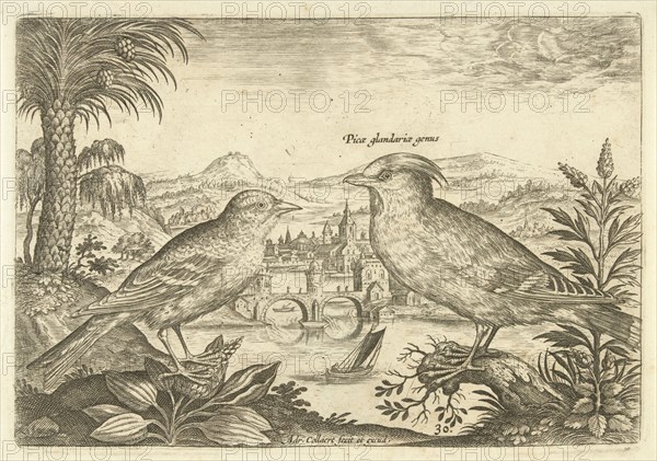 Two birds in a landscape, Adriaen Collaert, 1598 - 1602