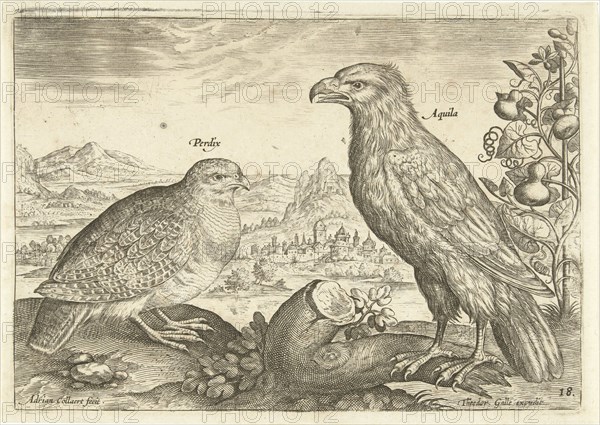 Two birds in a landscape, Adriaen Collaert, 1598 - 1618